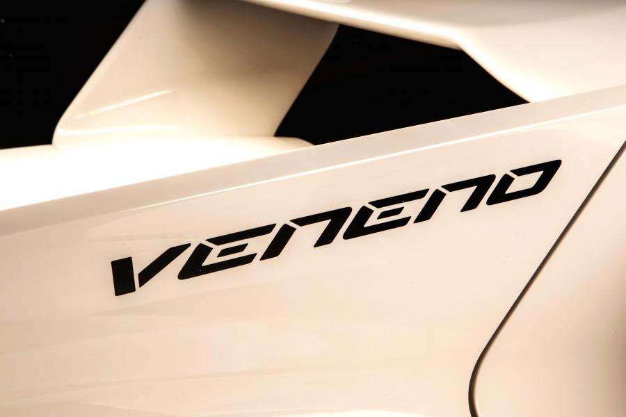 Логотип Lamborghini Veneno Roadster 2014 года  (фото 14 из 36)